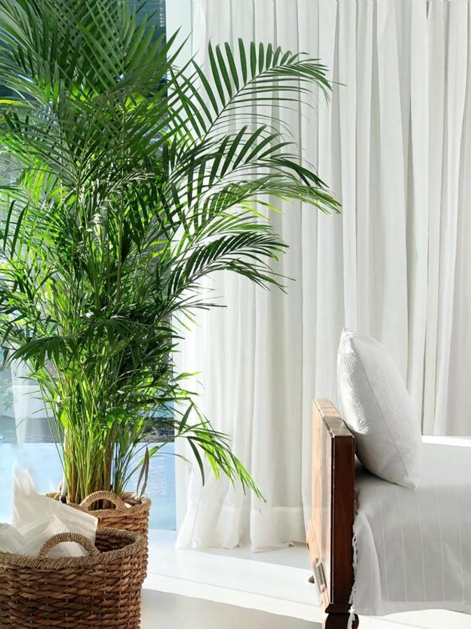 Casa Tamatina By Mhousing Apartment ปลายาบลังกา ภายนอก รูปภาพ